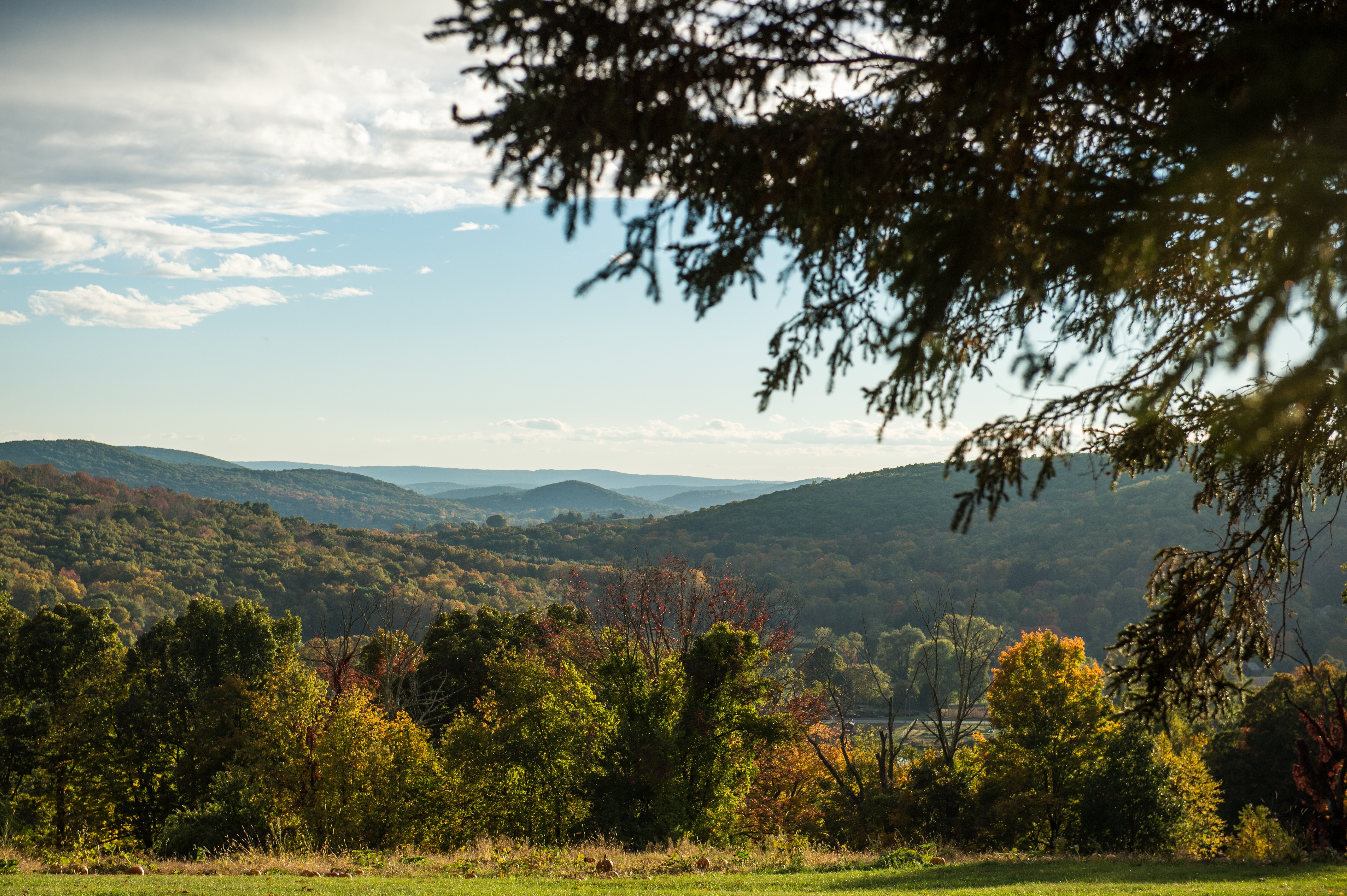 Angevine Farm, 40 Angevine Road, Warren, CT