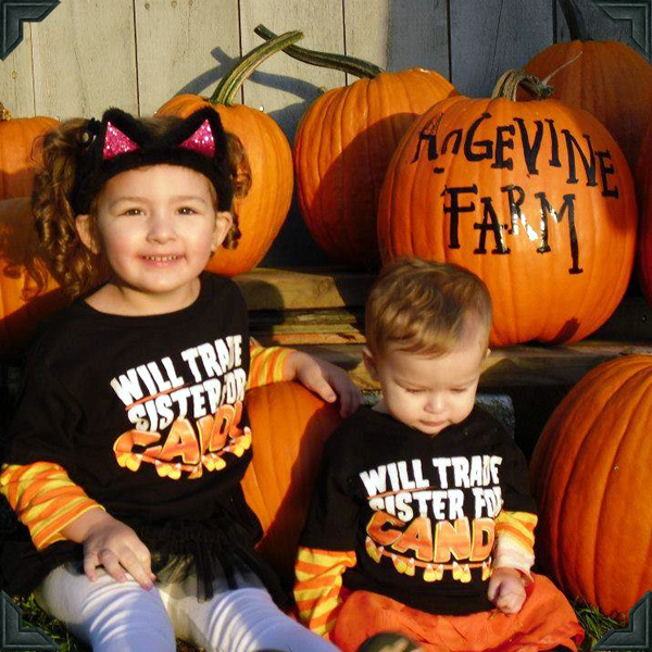 Galleries Angevine Farm