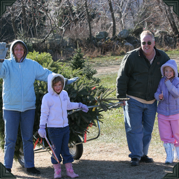 Galleries Angevine Farm