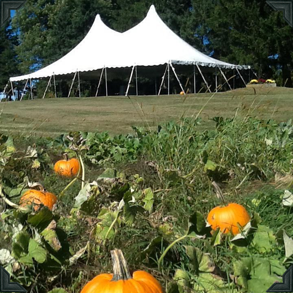Galleries Angevine Farm