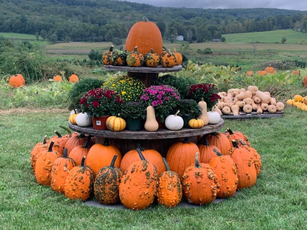 Angevine Farm, 40 Angevine Road, Warren, CT Angevine Farm