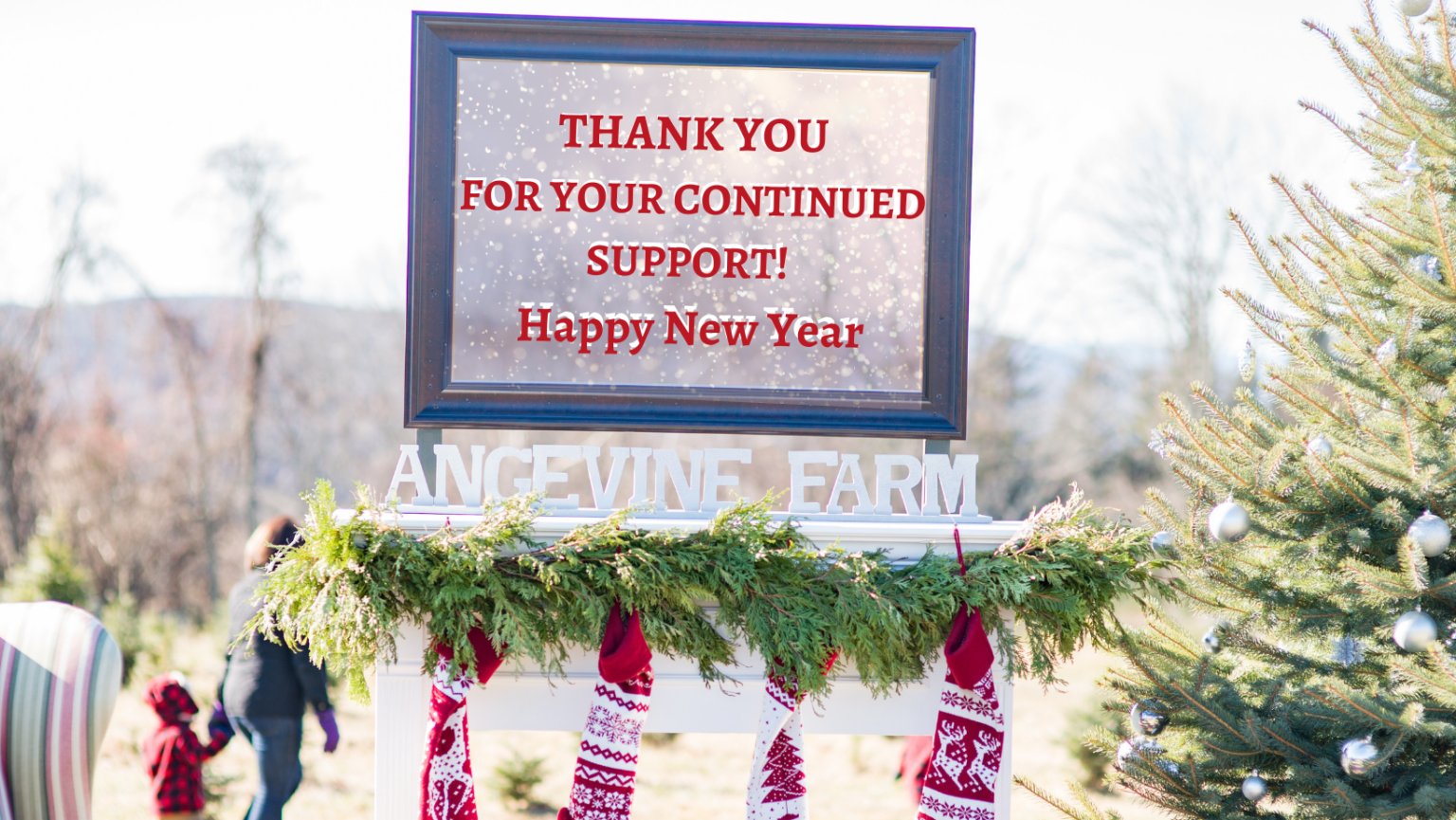 Angevine Farm, 40 Angevine Road, Warren, CT Copy Angevine Farm