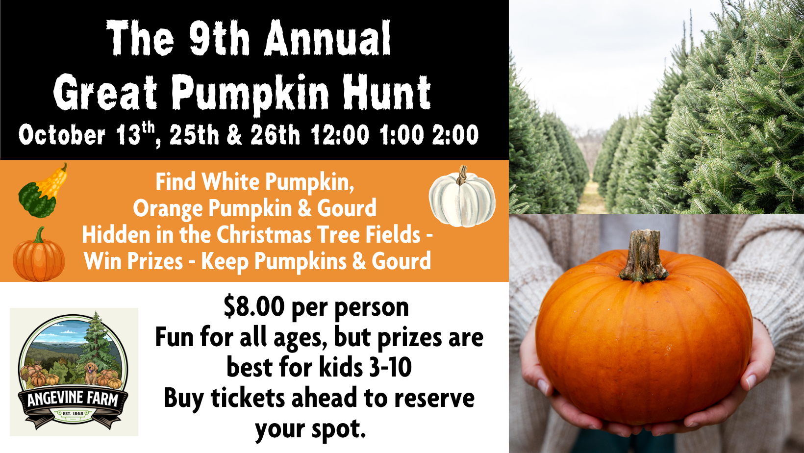_Pumpkins & Gourd Hidden in the Trees