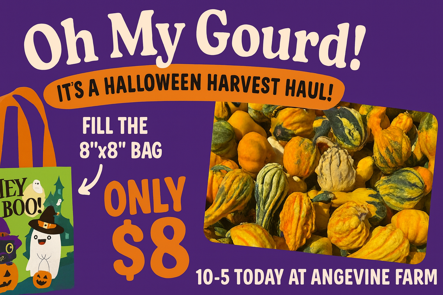 Halloween Harvest Special at Angevine Farm