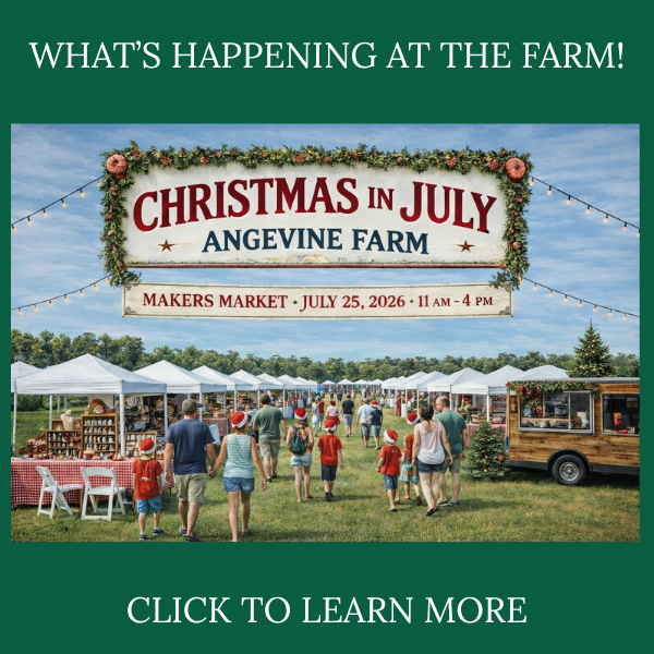 Copy of CHRISTMAS BARN GIFT SHOP