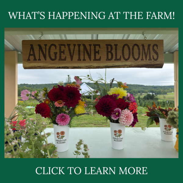 Copy of Events
